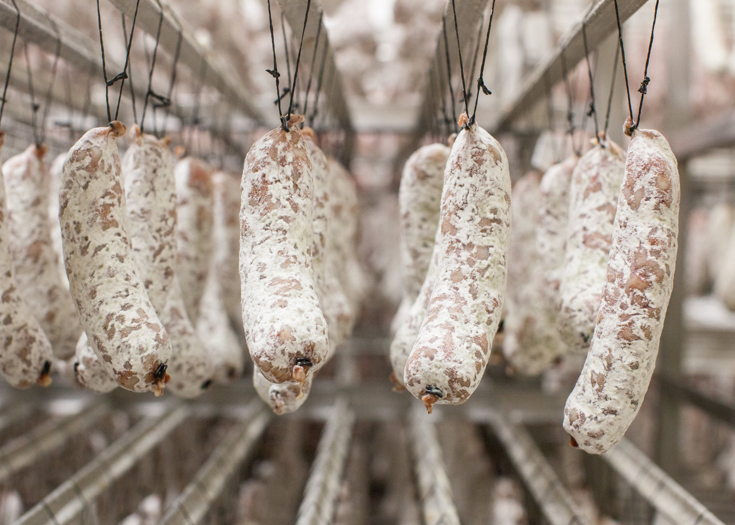 Brandt & Levie - eet beter vlees - goed gehouden varkens - droge worst - droogcel - rijpingcel - rijping droge worst