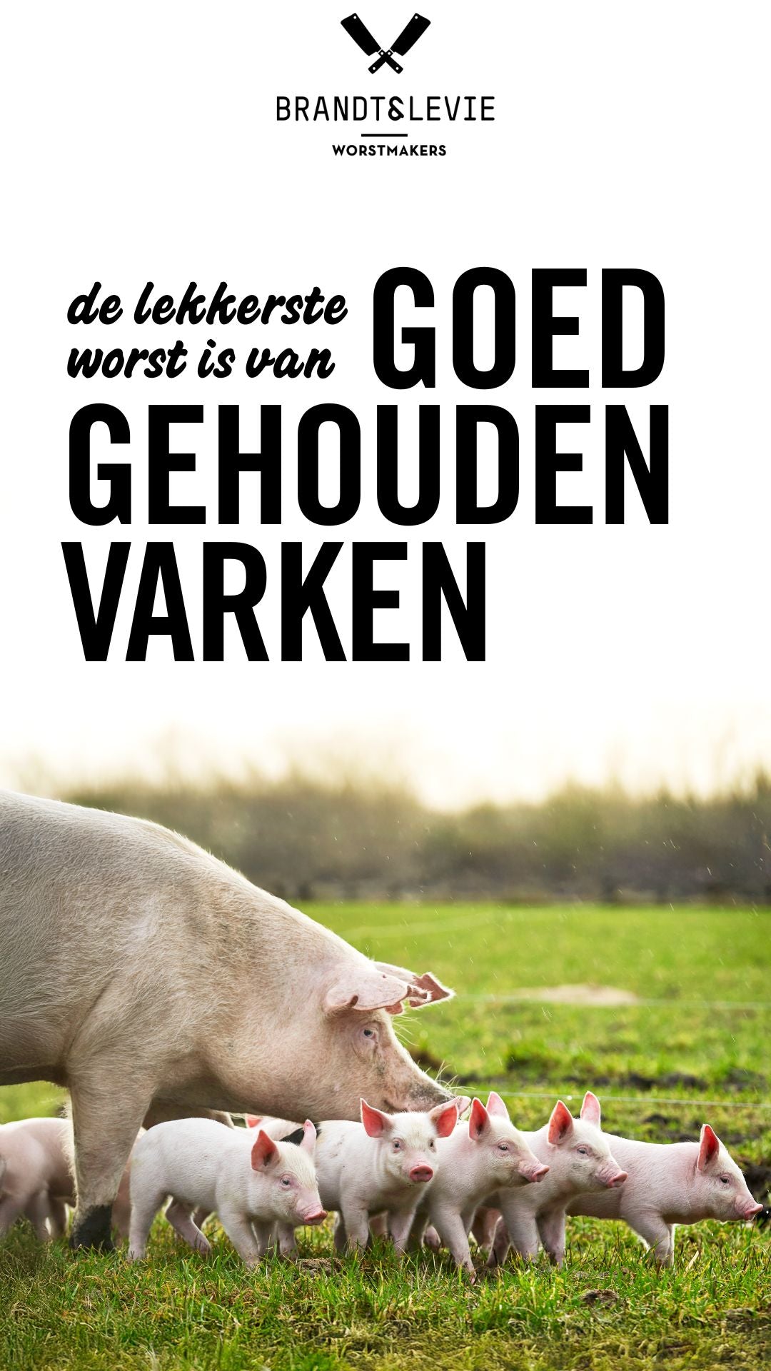 Video laden: 