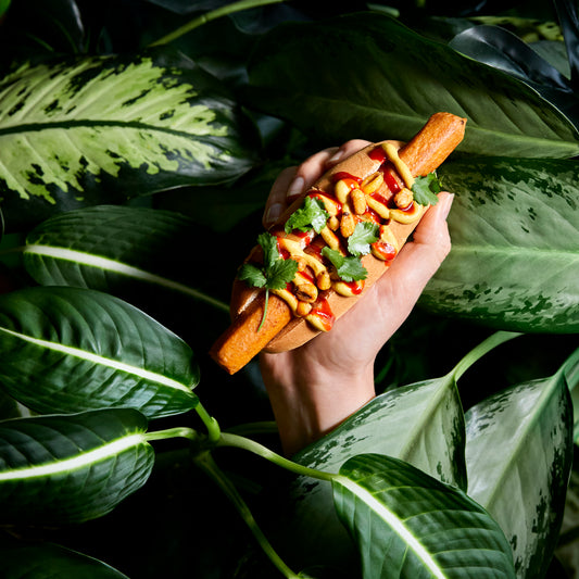 Brandt & Levie - eet beter vlees - goed gehouden varkens - culinair - knakworst - bbq worst - bqq - hotdog - plantbased hotdog - hotdog pakket - hotdog box - vegatarisch - hotdog pakket